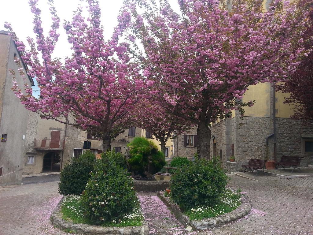 Appartamento La Casa di Adelina Vivo dʼOrcia Camera foto